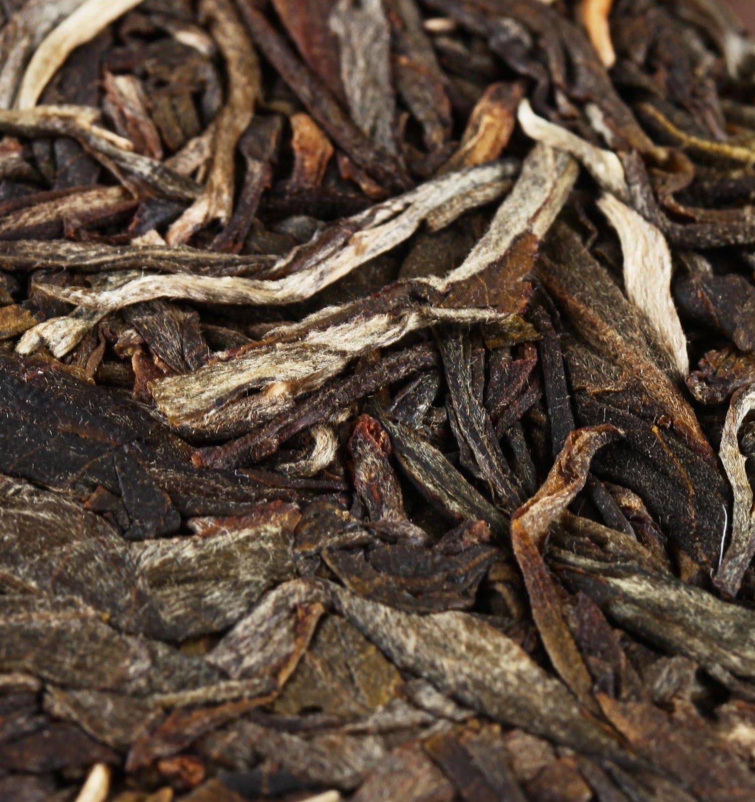 Pu'er