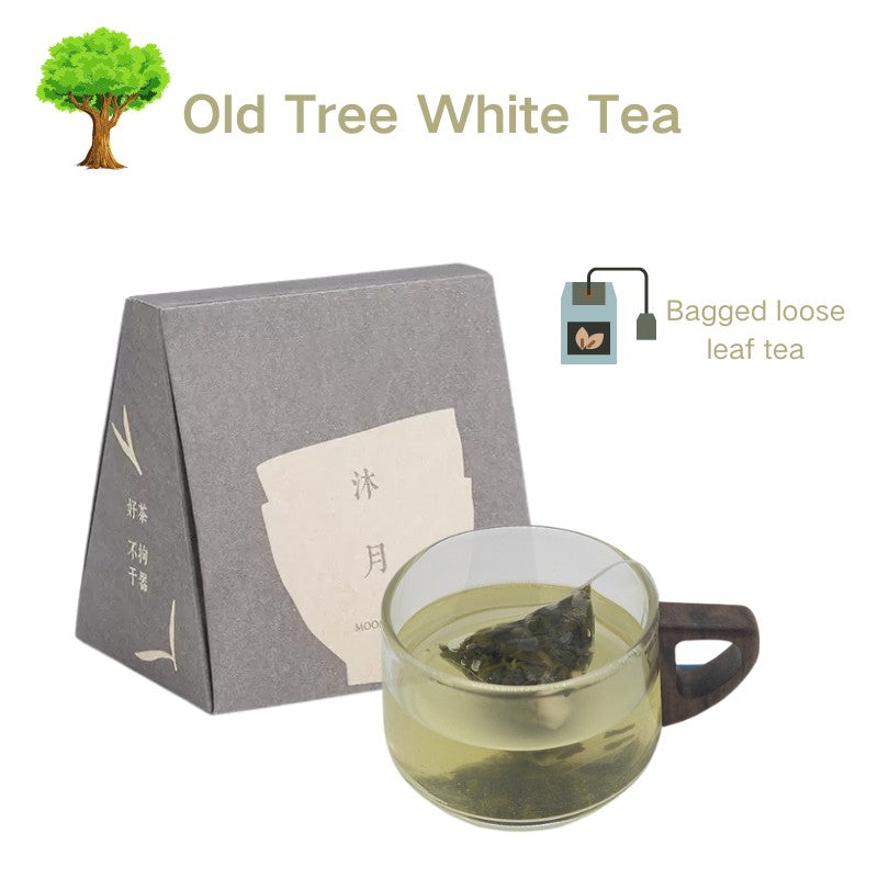 Old Tree White Tea